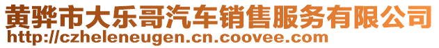 黃驊市大樂哥汽車銷售服務有限公司