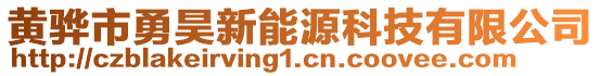 黃驊市勇昊新能源科技有限公司