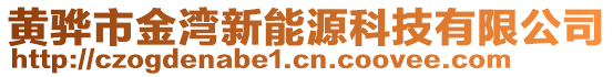 黃驊市金灣新能源科技有限公司