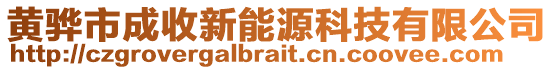 黃驊市成收新能源科技有限公司