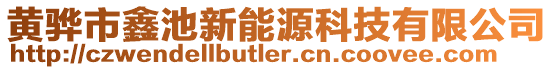 黃驊市鑫池新能源科技有限公司