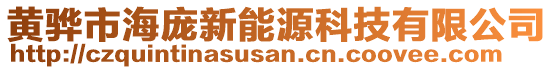 黃驊市海龐新能源科技有限公司