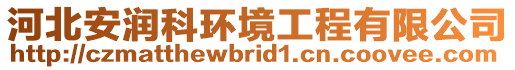 河北安潤科環(huán)境工程有限公司