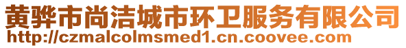 黃驊市尚潔城市環(huán)衛(wèi)服務(wù)有限公司