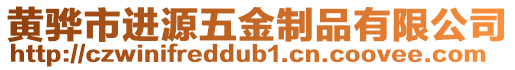 黃驊市進(jìn)源五金制品有限公司