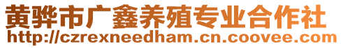 黃驊市廣鑫養殖專業合作社