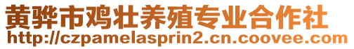 黃驊市雞壯養(yǎng)殖專業(yè)合作社