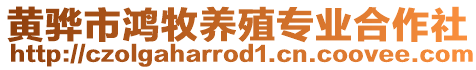 黃驊市鴻牧養殖專業合作社