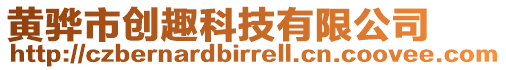 黃驊市創(chuàng)趣科技有限公司
