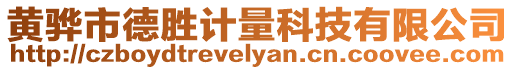 黃驊市德勝計量科技有限公司