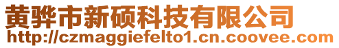 黃驊市新碩科技有限公司