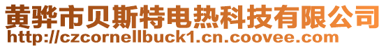 黃驊市貝斯特電熱科技有限公司