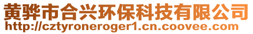 黃驊市合興環(huán)保科技有限公司