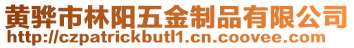 黃驊市林陽(yáng)五金制品有限公司