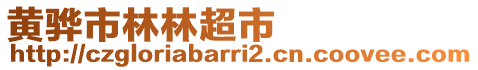 黃驊市林林超市