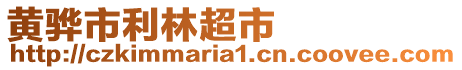 黄骅市利林超市