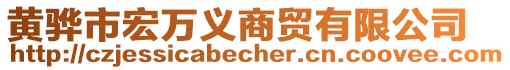 黃驊市宏萬義商貿(mào)有限公司