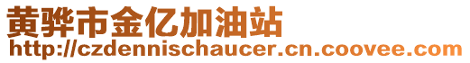 黃驊市金億加油站