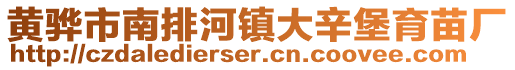 黄骅市南排河镇大辛堡育苗厂