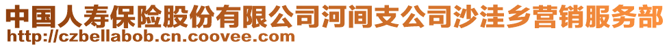 中國人壽保險股份有限公司河間支公司沙洼鄉(xiāng)營銷服務(wù)部