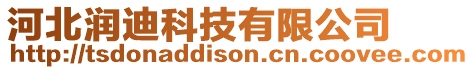河北潤迪科技有限公司