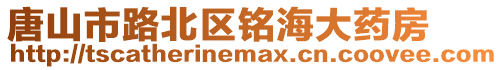 唐山市路北區(qū)銘海大藥房