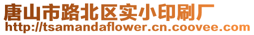 唐山市路北區(qū)實小印刷廠