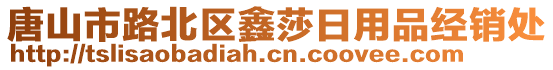 唐山市路北區鑫莎日用品經銷處