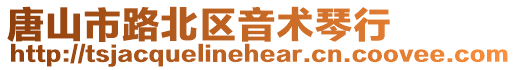 唐山市路北區音術琴行