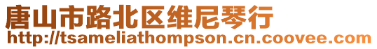 唐山市路北區維尼琴行