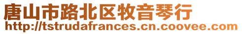 唐山市路北區牧音琴行