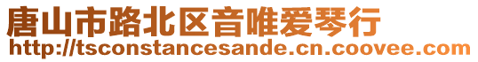 唐山市路北區(qū)音唯愛琴行