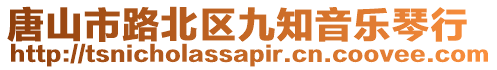 唐山市路北區(qū)九知音樂琴行