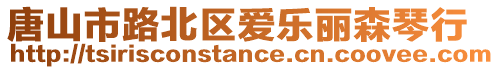 唐山市路北區(qū)愛樂麗森琴行