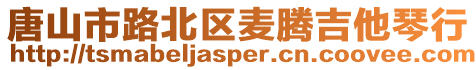 唐山市路北區(qū)麥騰吉他琴行