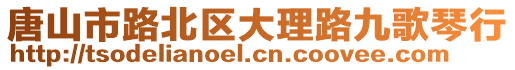 唐山市路北區(qū)大理路九歌琴行