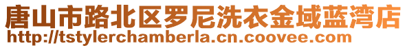 唐山市路北區(qū)羅尼洗衣金域藍(lán)灣店