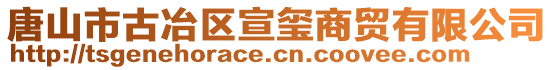 唐山市古冶區(qū)宣璽商貿(mào)有限公司