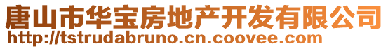 唐山市華寶房地產(chǎn)開發(fā)有限公司