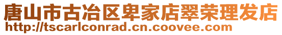 唐山市古冶區卑家店翠榮理發店