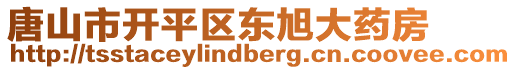 唐山市開平區(qū)東旭大藥房