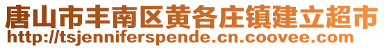 唐山市豐南區(qū)黃各莊鎮(zhèn)建立超市