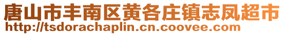 唐山市豐南區(qū)黃各莊鎮(zhèn)志鳳超市