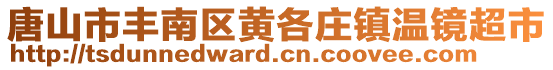 唐山市豐南區(qū)黃各莊鎮(zhèn)溫鏡超市