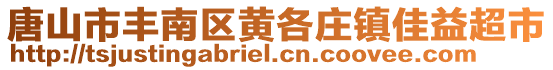 唐山市豐南區(qū)黃各莊鎮(zhèn)佳益超市