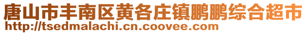 唐山市豐南區(qū)黃各莊鎮(zhèn)鵬鵬綜合超市