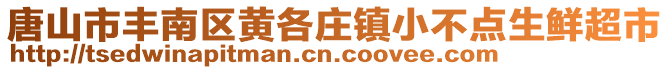 唐山市豐南區(qū)黃各莊鎮(zhèn)小不點(diǎn)生鮮超市