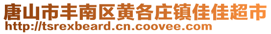 唐山市豐南區(qū)黃各莊鎮(zhèn)佳佳超市