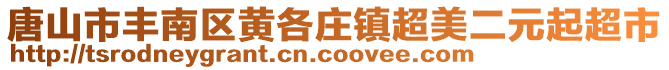 唐山市豐南區黃各莊鎮超美二元起超市
