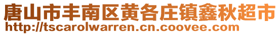 唐山市豐南區(qū)黃各莊鎮(zhèn)鑫秋超市